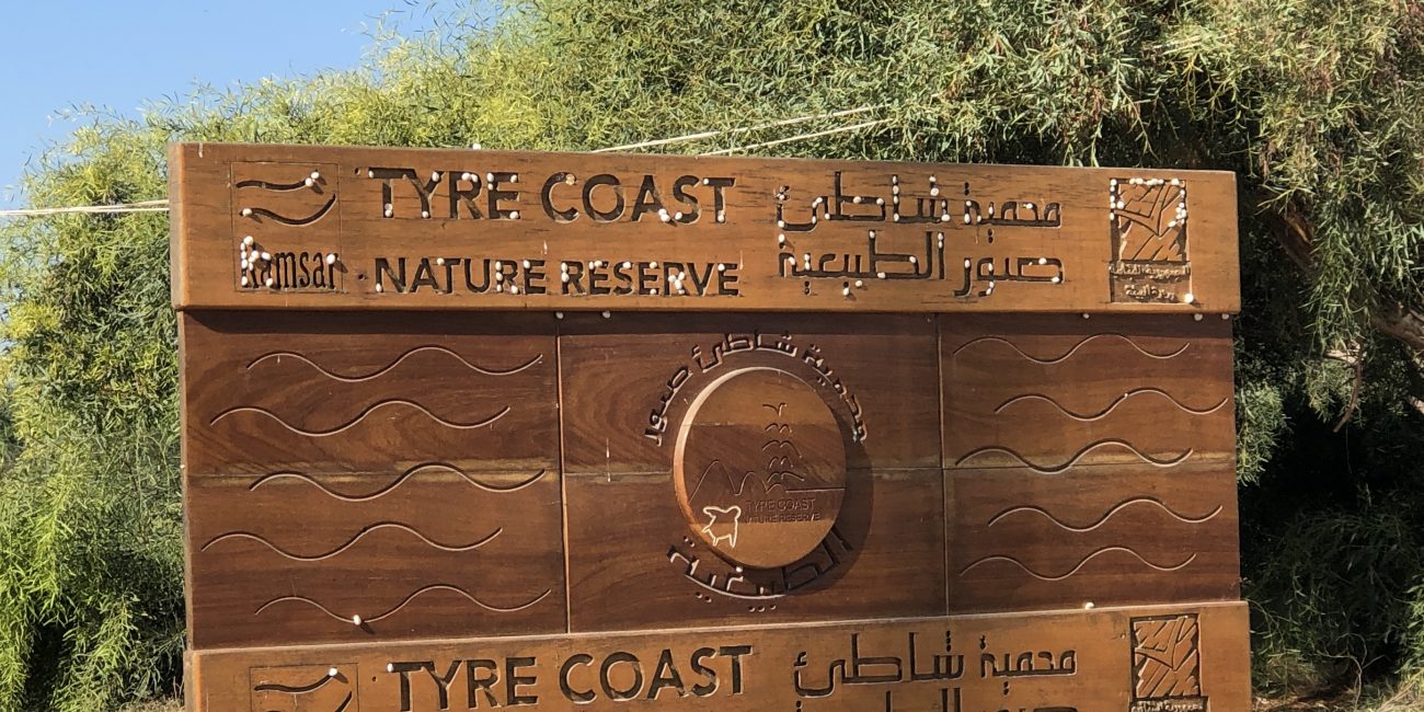 TCNR Liban