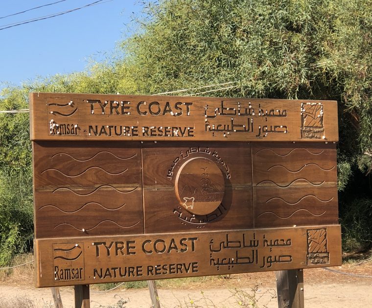 TCNR Liban
