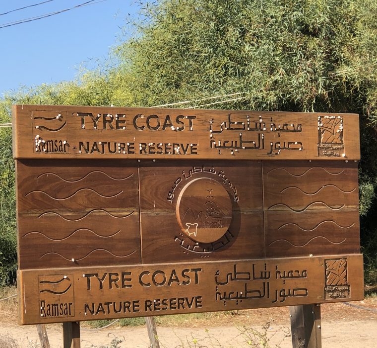 TCNR Liban