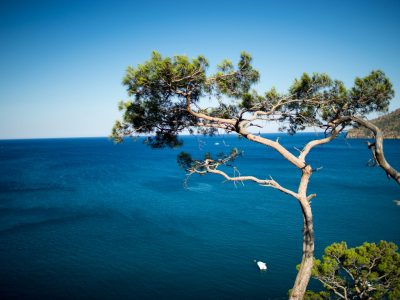 Raimond Klavins | Unsplash Raimond Klavins | Unsplash